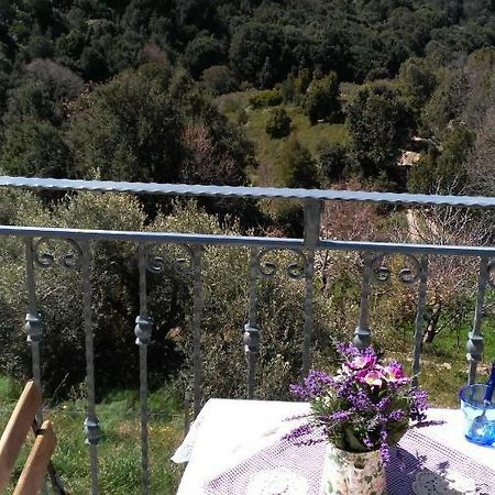 Stellaria Casa Vacanze In Montagna Panorama Stupendo Sardegna Seùlo Extérieur photo