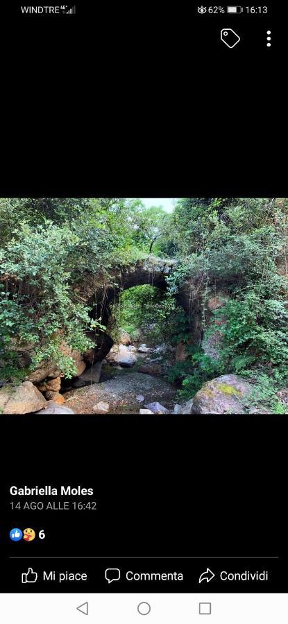 Stellaria Casa Vacanze In Montagna Panorama Stupendo Sardegna Seùlo Extérieur photo