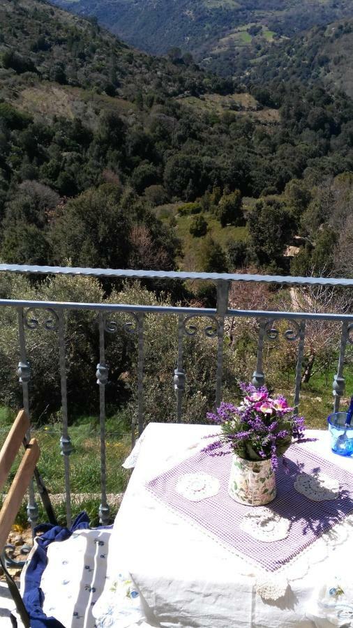 Stellaria Casa Vacanze In Montagna Panorama Stupendo Sardegna Seùlo Extérieur photo
