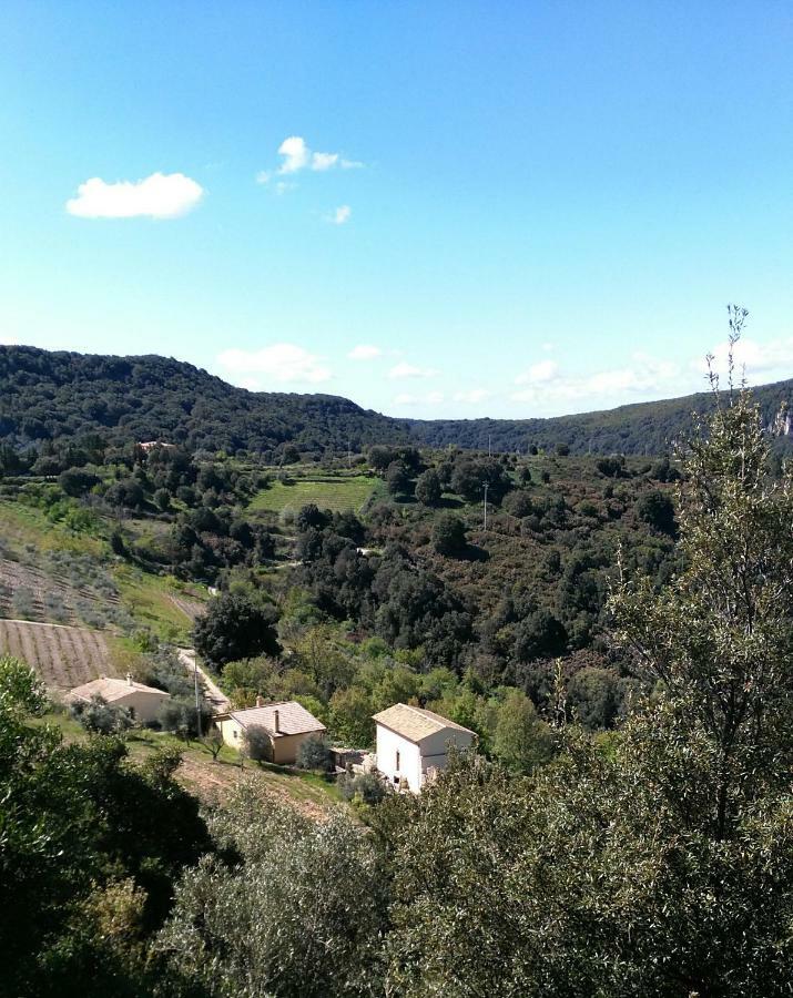 Stellaria Casa Vacanze In Montagna Panorama Stupendo Sardegna Seùlo Extérieur photo
