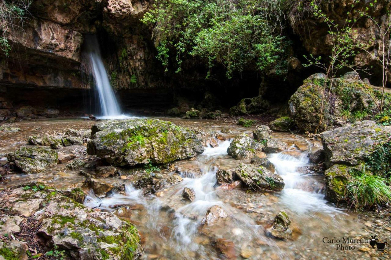 Stellaria Casa Vacanze In Montagna Panorama Stupendo Sardegna Seùlo Extérieur photo