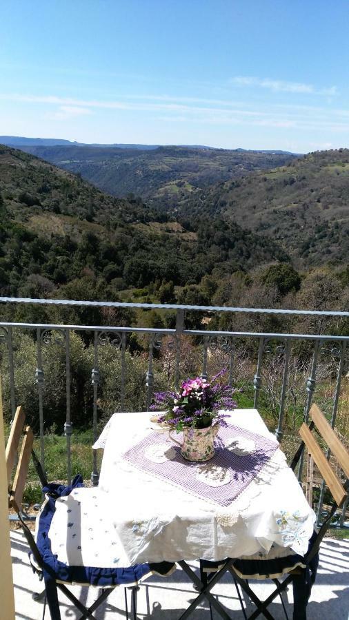 Stellaria Casa Vacanze In Montagna Panorama Stupendo Sardegna Seùlo Extérieur photo