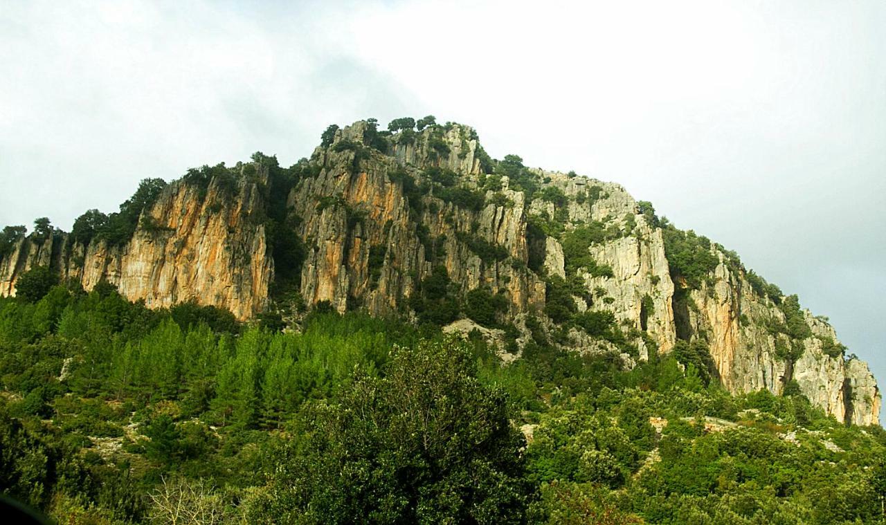 Stellaria Casa Vacanze In Montagna Panorama Stupendo Sardegna Seùlo Extérieur photo